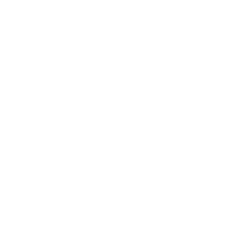 Branding Icon