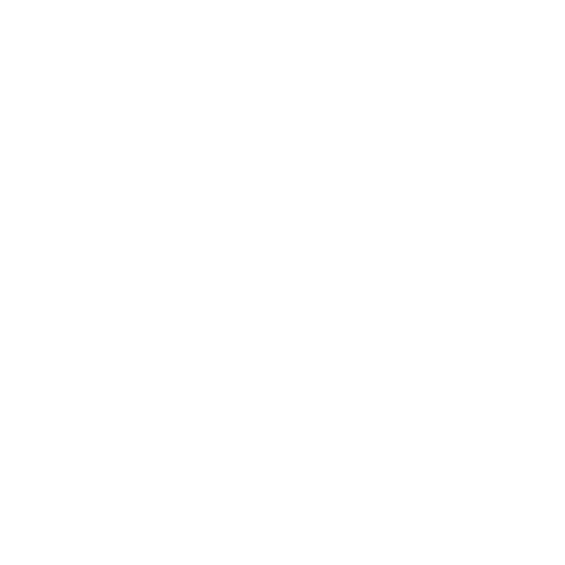 Ambassador Icon
