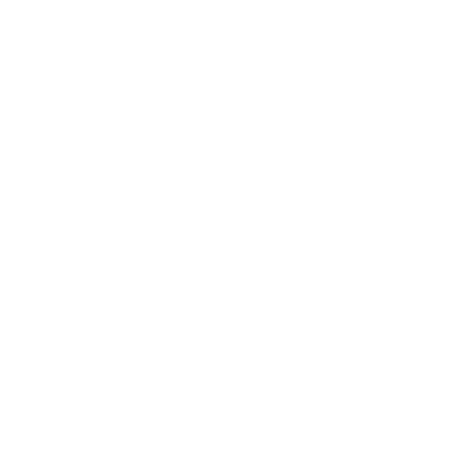Merchandise Icon