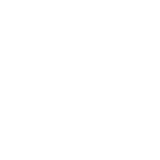 Media Icon