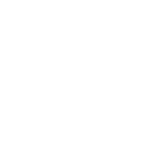 Ambassador Icon